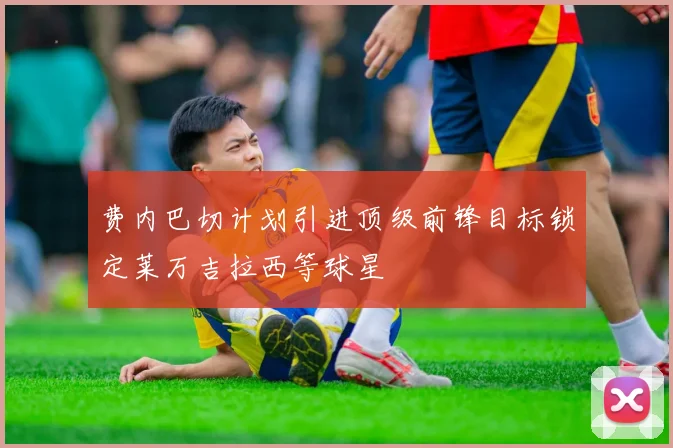 费内巴切计划引进顶级前锋目标锁定莱万吉拉西等球星