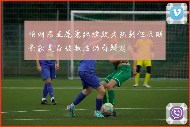 帕利尼亚愿意继续效力热刺但买断条款是否被激活仍存疑虑